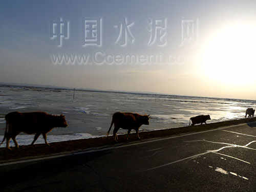 [新疆行]阿山水泥：浙商不怕遠(yuǎn)征難
